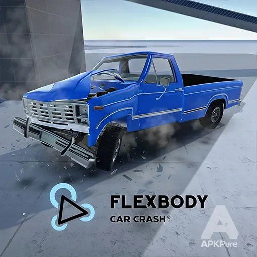 Flexbody Car Crash